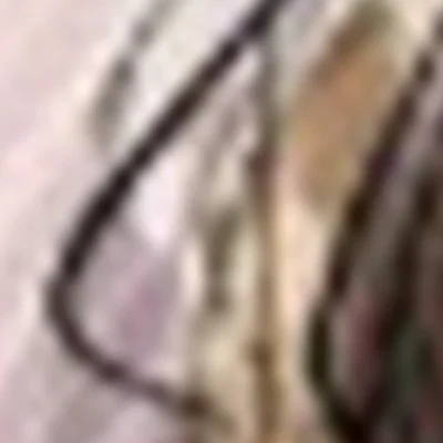 Студия Елены Беловой