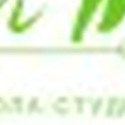 Школа-студия "Лэш Макс"