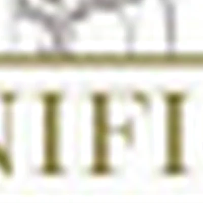 Manifique beauty studio