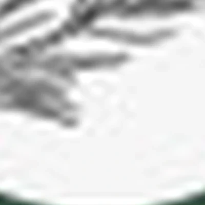 Beauty пространство "Розмарин"