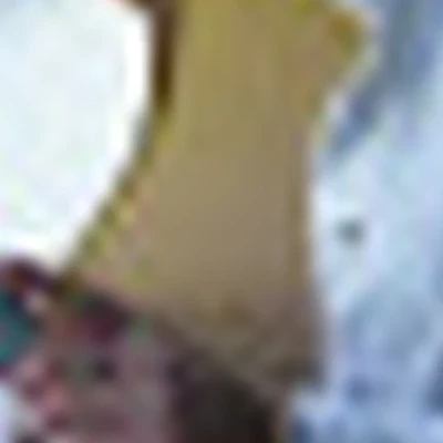 Юлия Гуцало