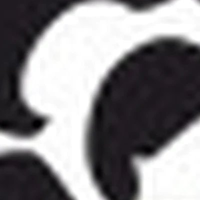 Студия красоты "Хамелеон"