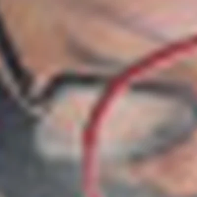 Алена Сверщевских