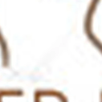 Laser Ray (автозавод)