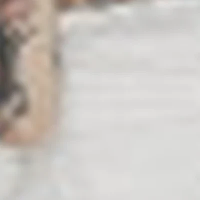 Мария Балдина