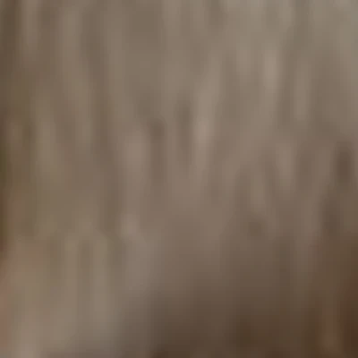 Hair hub