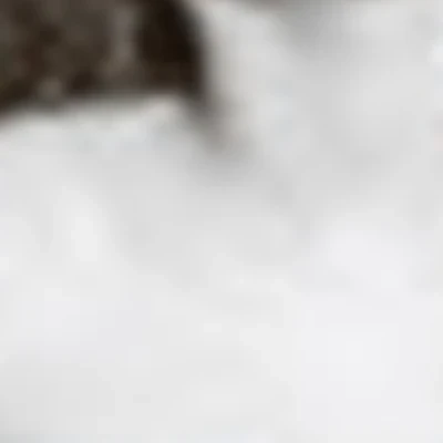 Самира Ленаровна