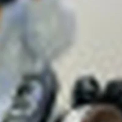 Васильева Роза