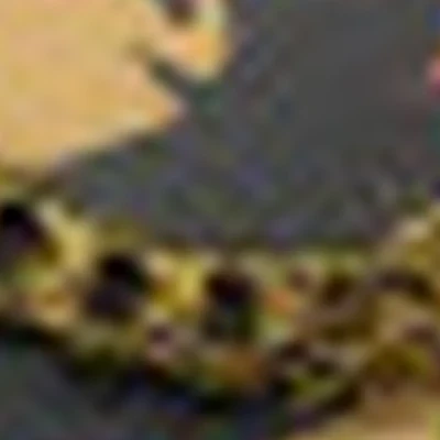 Black Bananas
