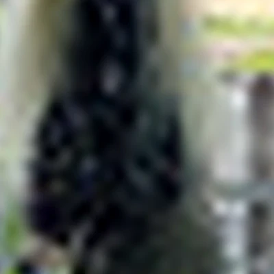 Мишагина Анастасия Андреевна