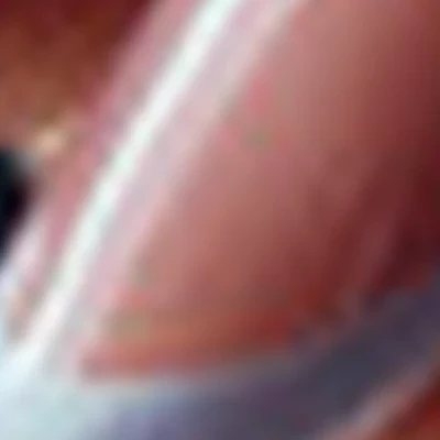 Кузнецова Анастасия