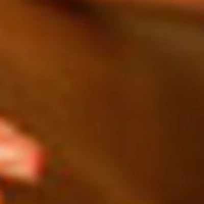 Князева Марина