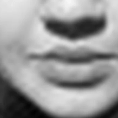 Шмелева Карина