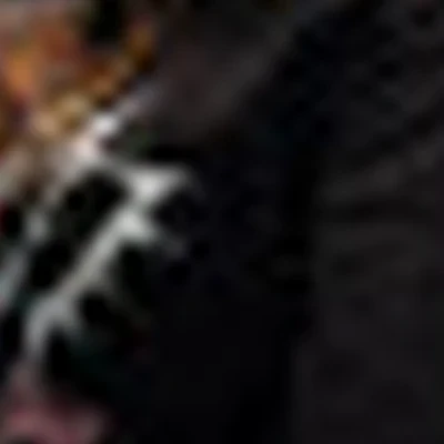 Регина Цветкова