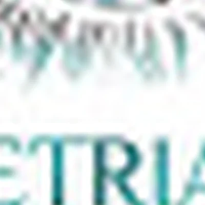 Студия «Геометрия взгляда»