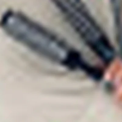 Лазарева Анастасия