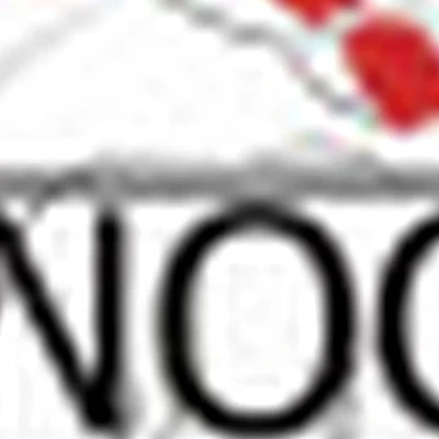 Nogot_ok