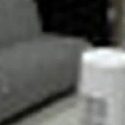 Юлия Вейсгейм