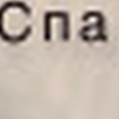 AngelinaLab