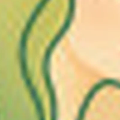 Cactus off