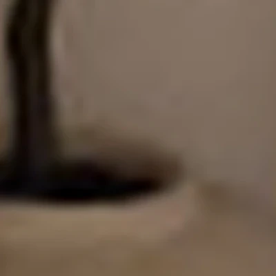 Солярий
