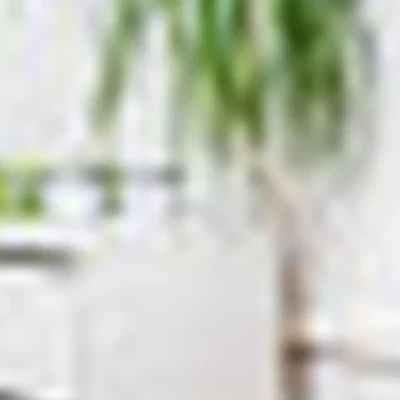 Кабинет Эстетики Дворецкой Екатерины