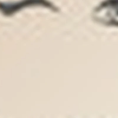 Brow & Lash Lab
