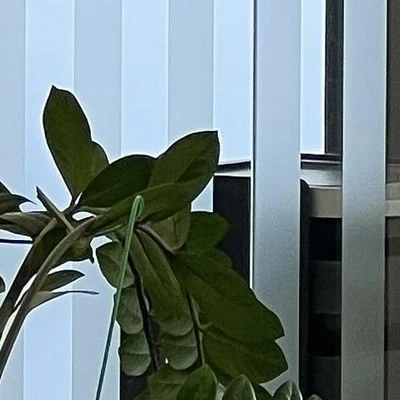 Gatineau в Волгограде Волгоградская область, Волгоград, Советская, 3, вход с торца