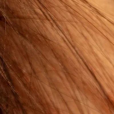 Студия пирсинга и тату ralf studio