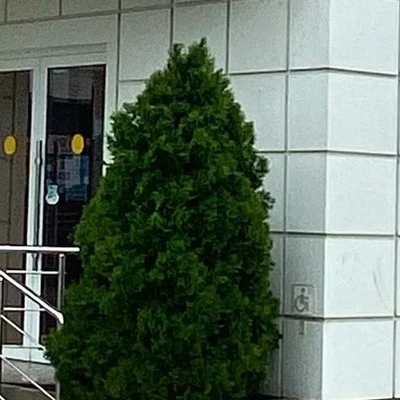 OG в Темрюке Краснодарский край, Темрюк, улица Калинина, 2/1