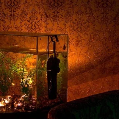 Салон эротического массажа Искушение