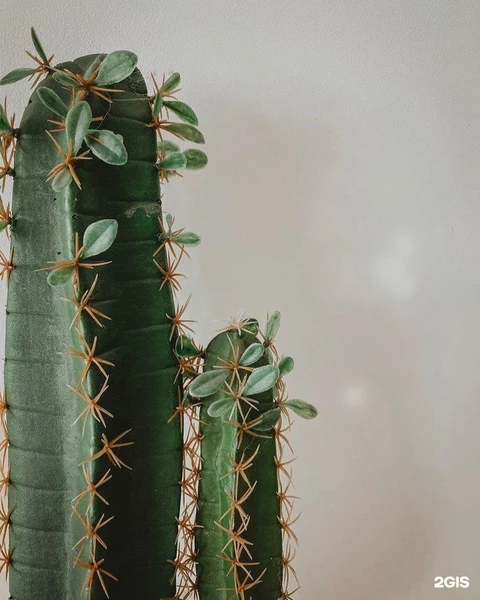 &