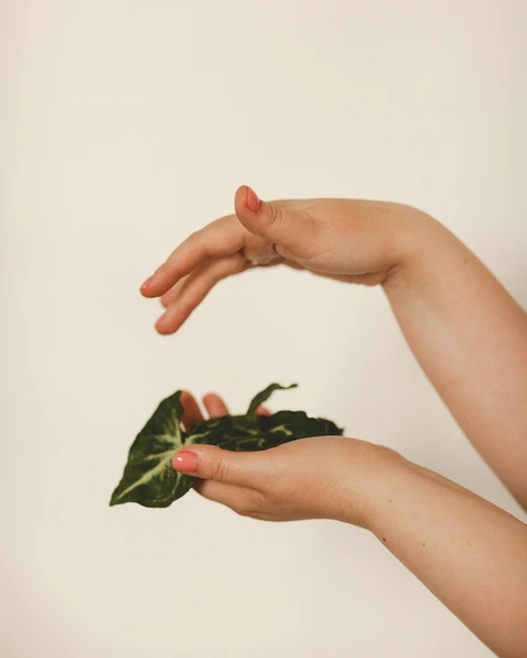 &