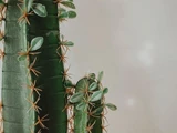 &