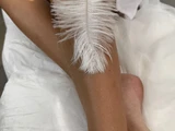 &
