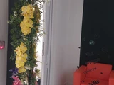 &