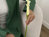 &