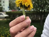 &