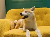 &