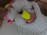 &