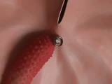 &