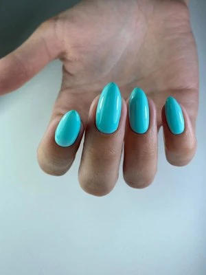 Анна Пашинская