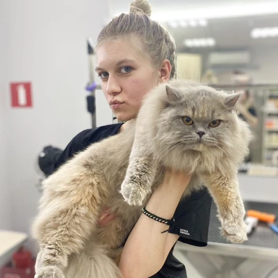 Василина