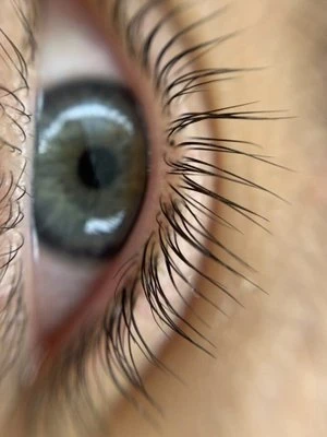 Alla Alexandrovna Bogdan