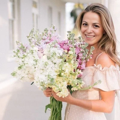 Елена (реснички)