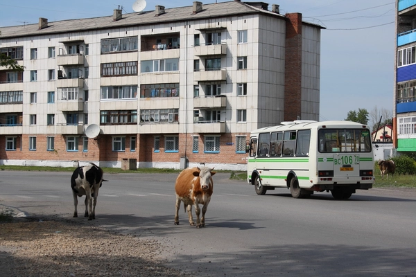 Студии красоты Асино