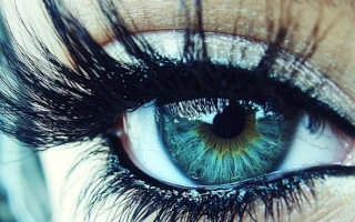 Окрашивание Barex, короткая длина. Тон в тон или темнее.