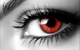 Коррекция бровей