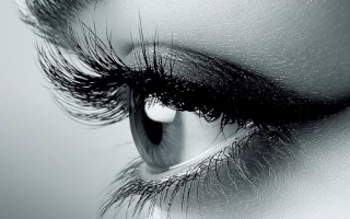 Краска / хна (BROWS)