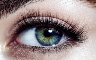 Базовый курс по наращиванию ресниц